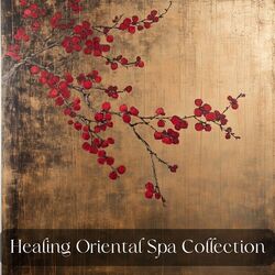 Cover of Destress and Relief Spa Time