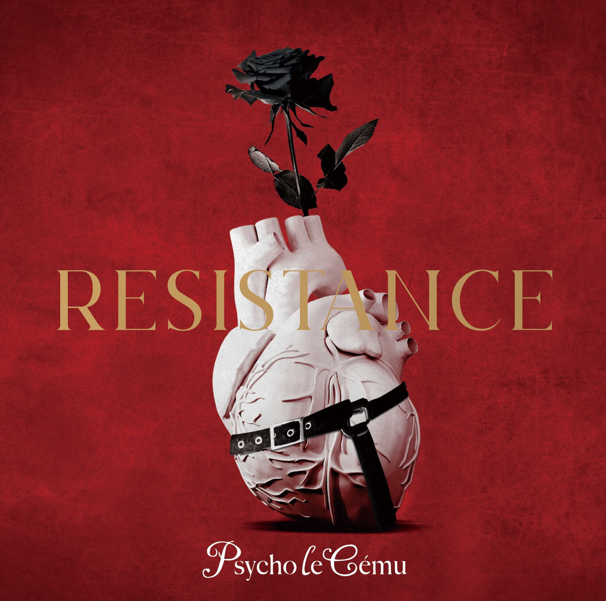 Psycho le Cému: albums, songs, concerts | Deezer