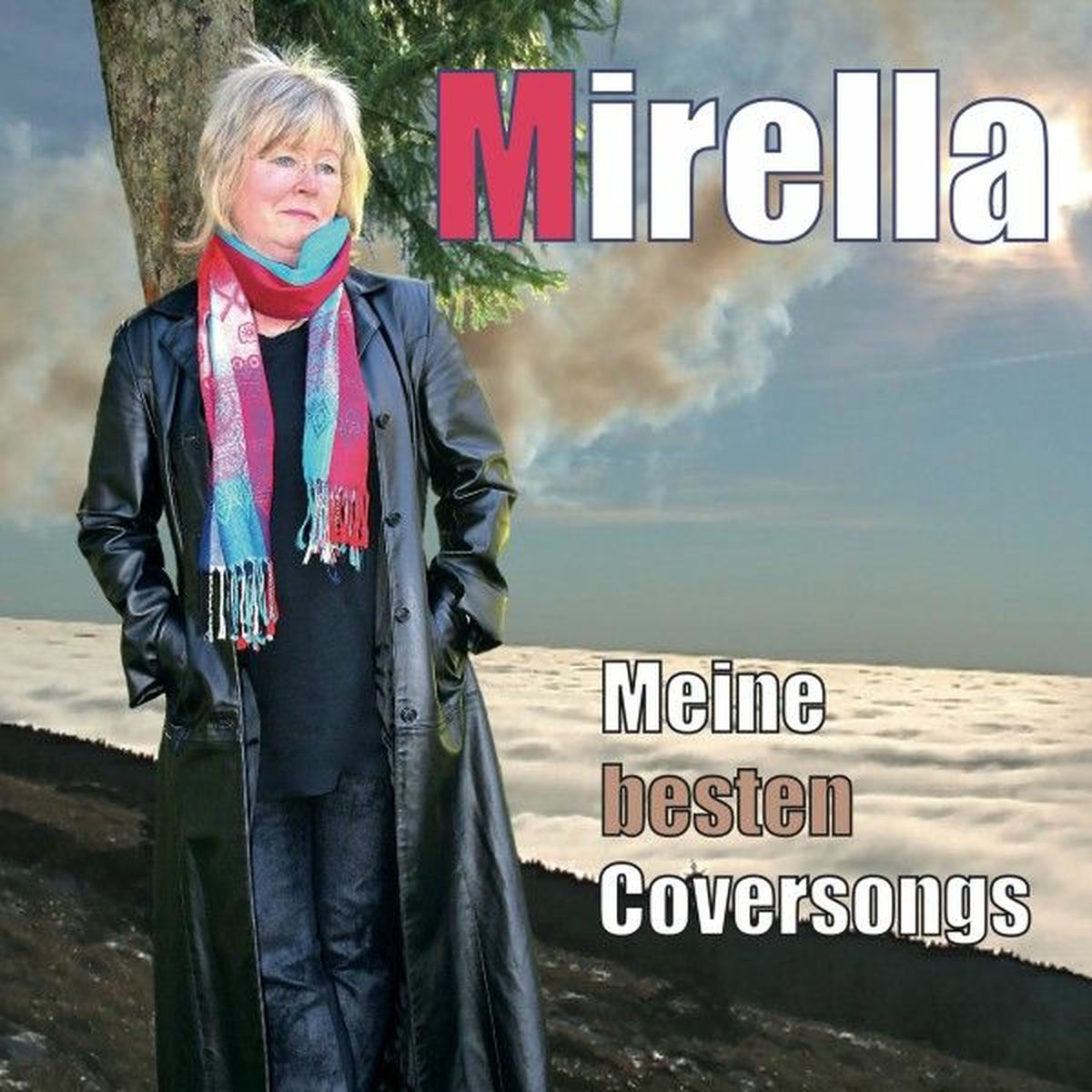 Album cover of Meine besten Coversongs