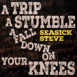 Cover of A Trip a Stumble a Fall Down on Your Knees