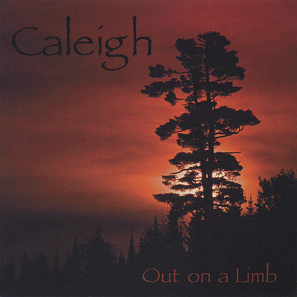 Album cover of Out on a Limb