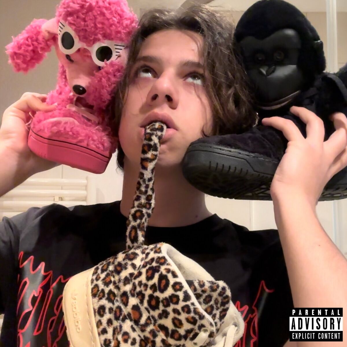Album cover of Fart Season