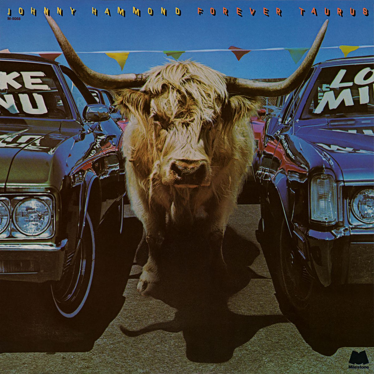 Album cover of Cosmic Voyager