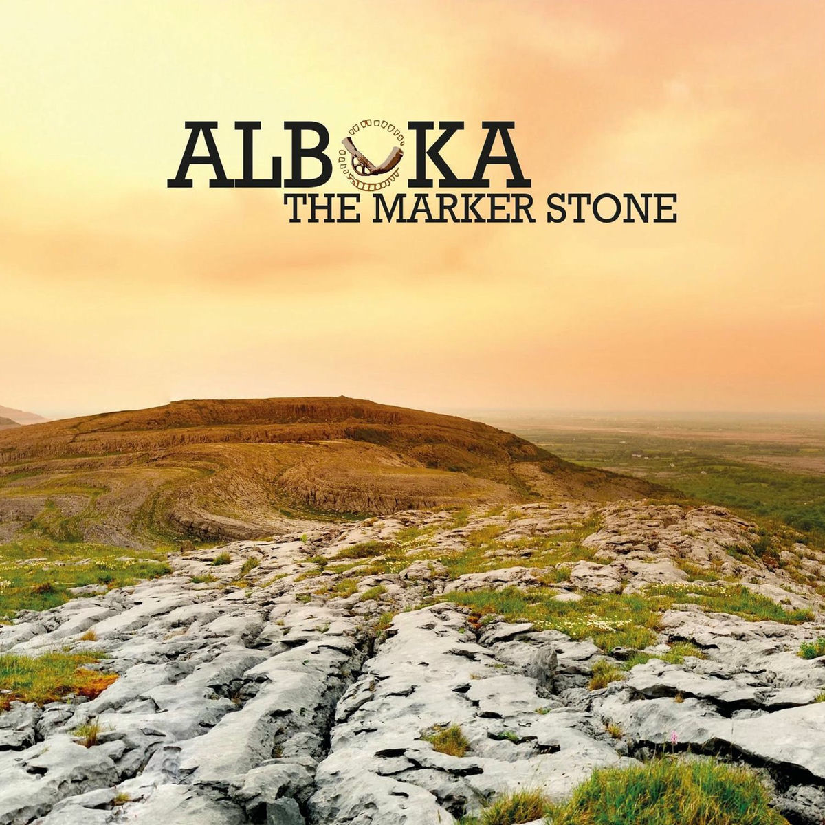 Album cover of THE MARKER STONE