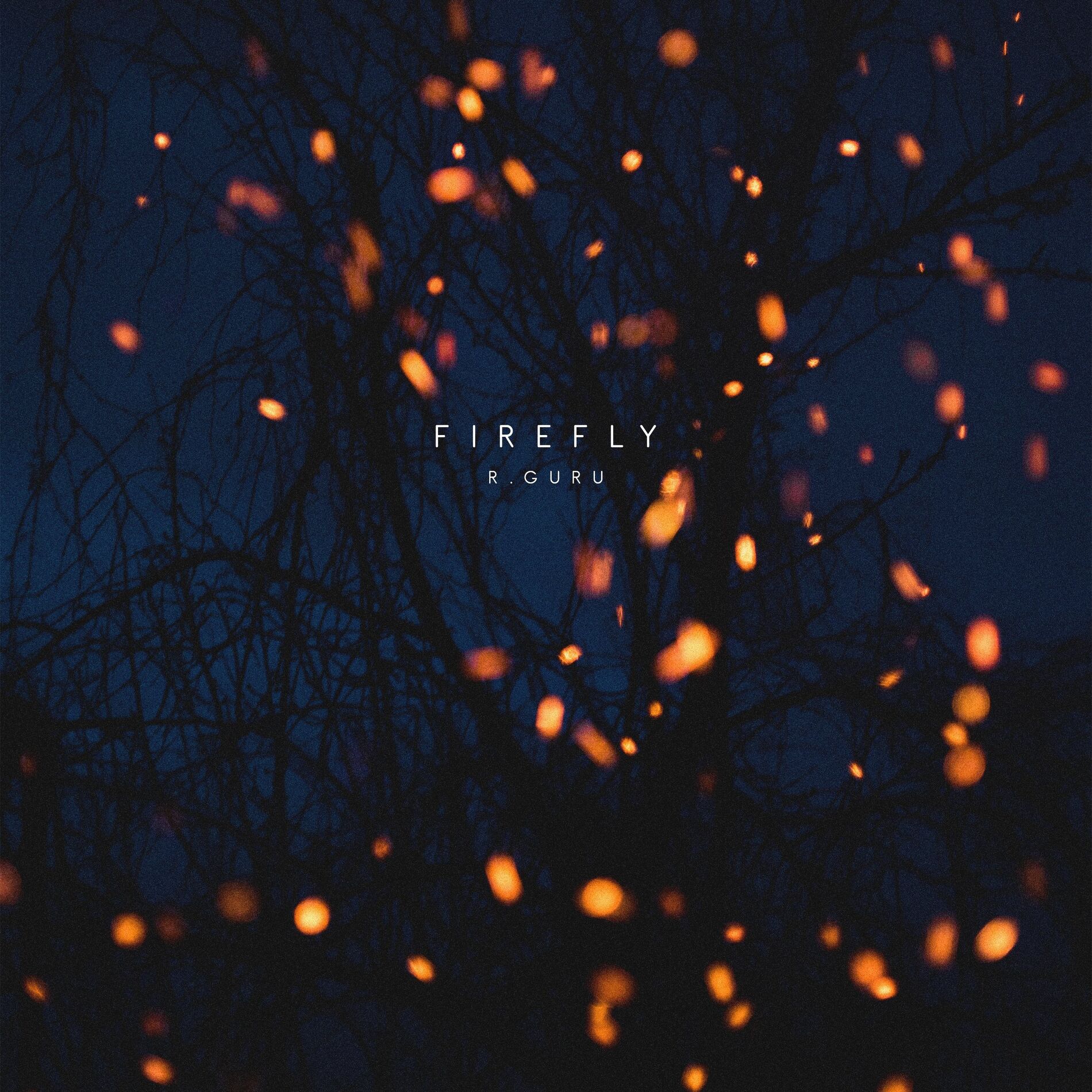 Album cover of FireFly
