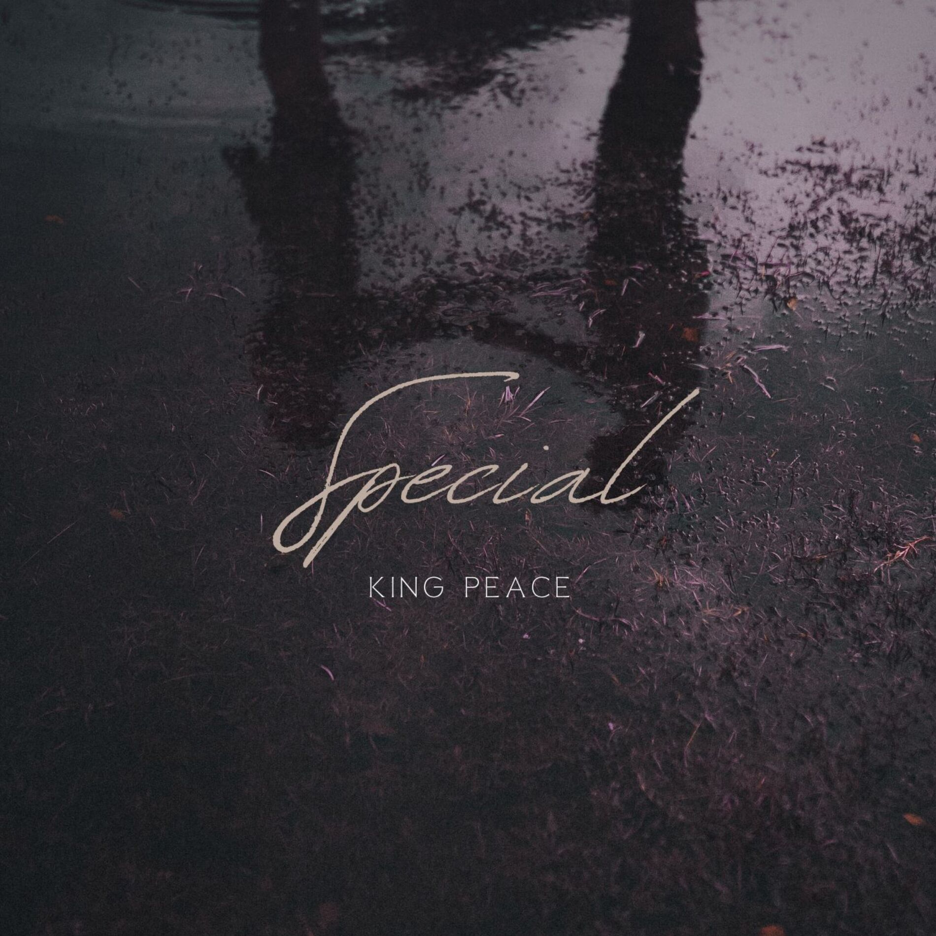 Album cover of Special