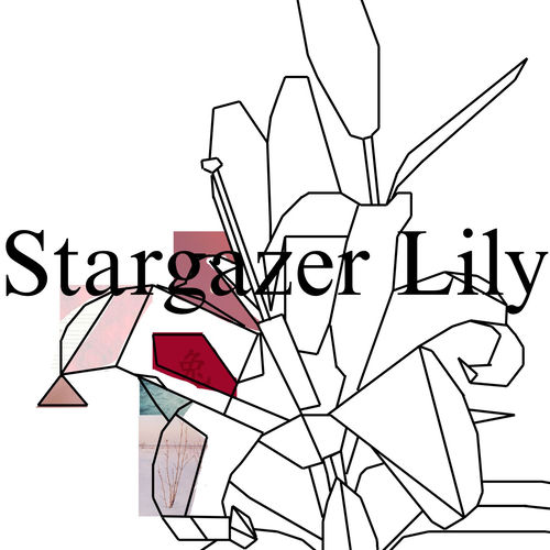 Stargazer Lily