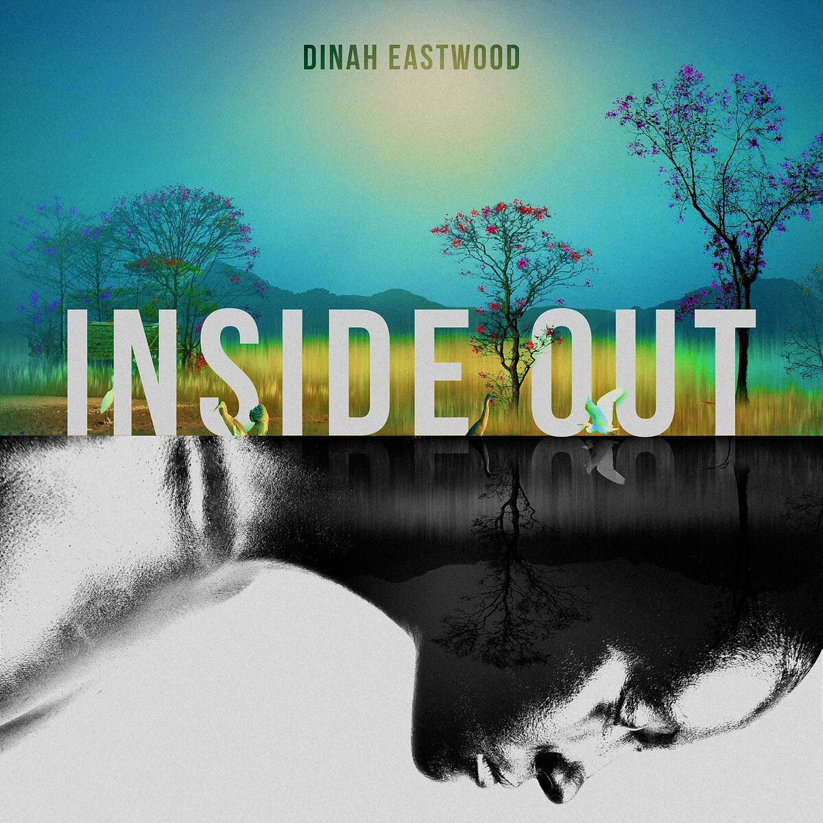 Album cover of Inside Out