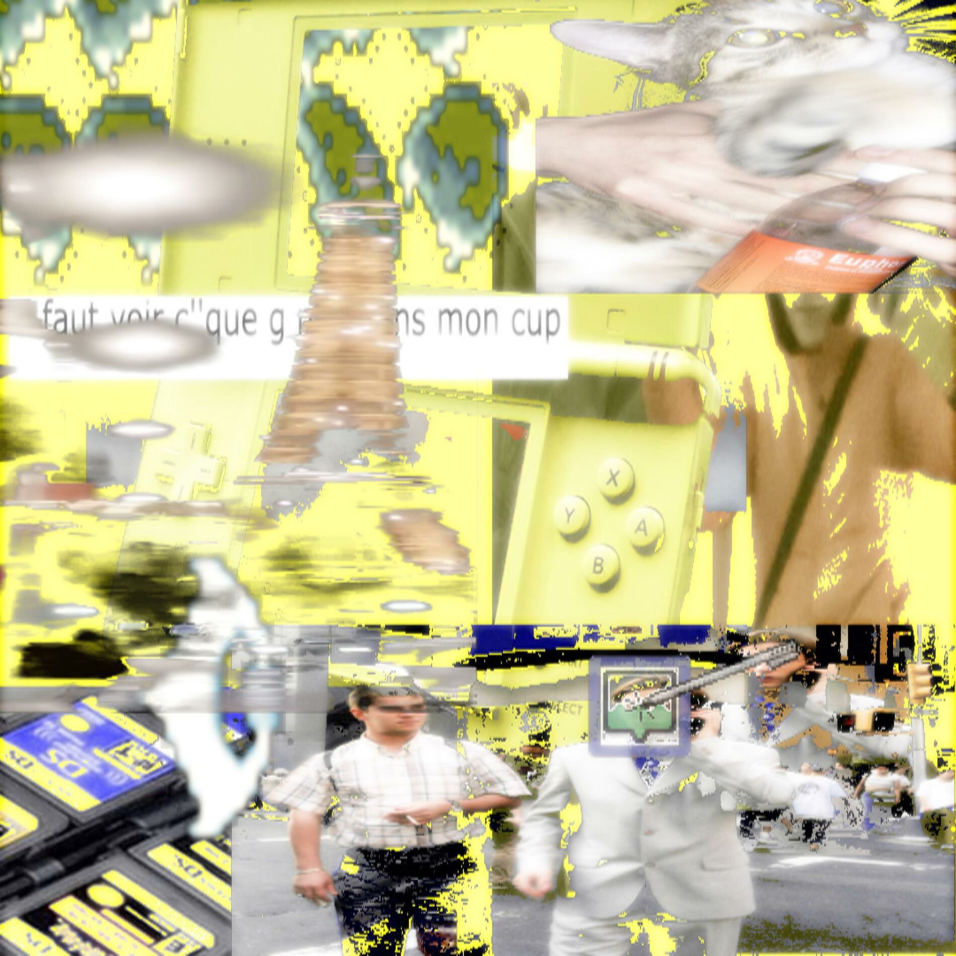 Album cover of DSi (feat. Ajna)