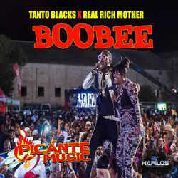 Cover of Boobee
