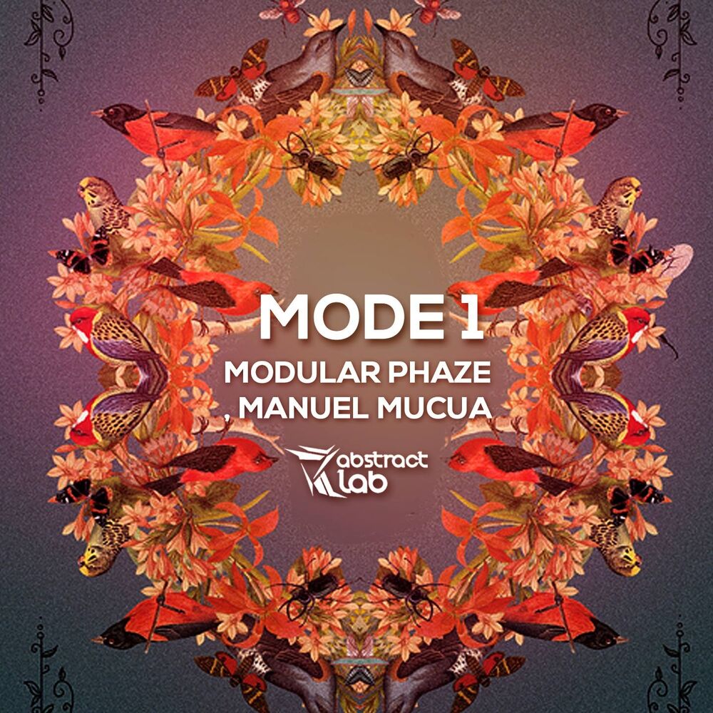 Picture of Mode 1