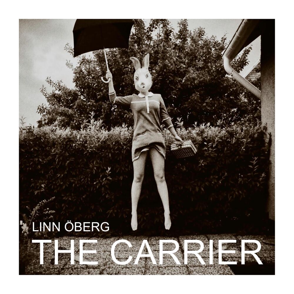Picture of The Carrier