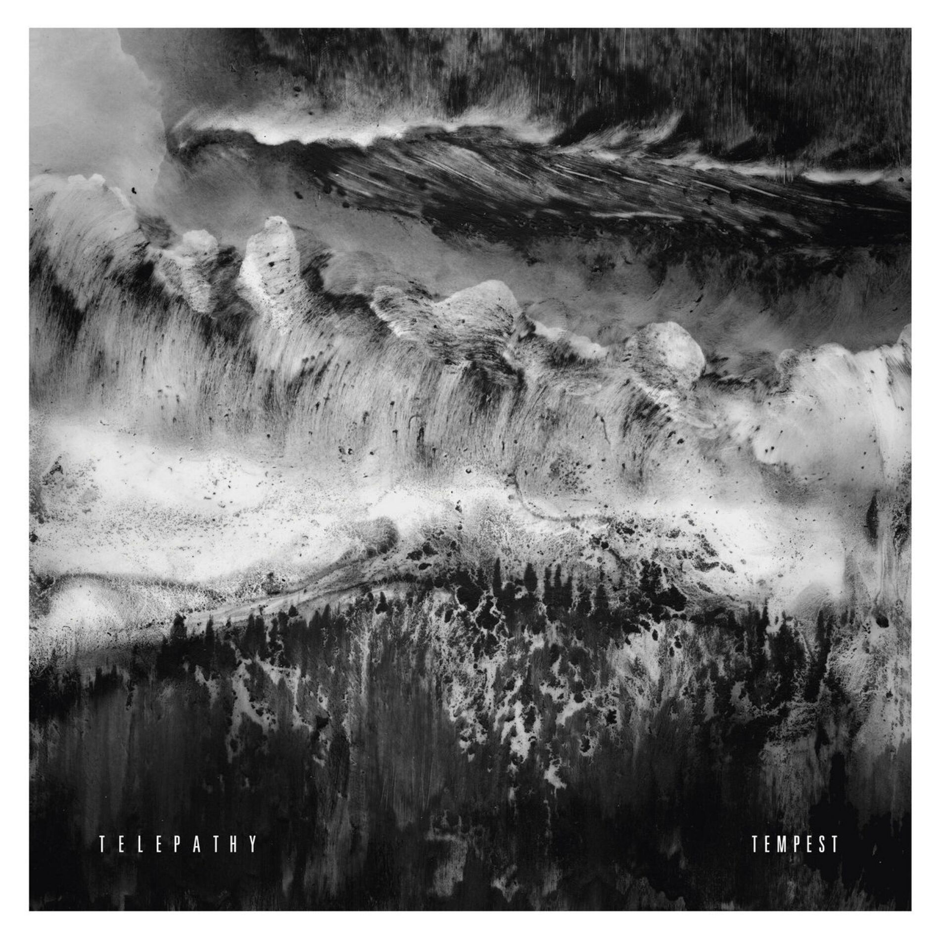 Album cover of Tempest
