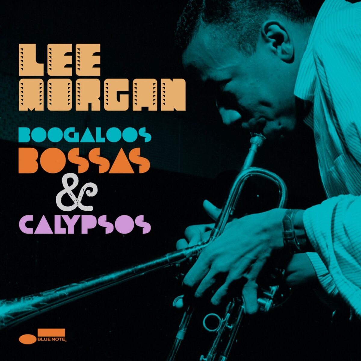 Album cover of Boogaloos, Bossas & Calypsos