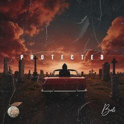 Cover of Protected