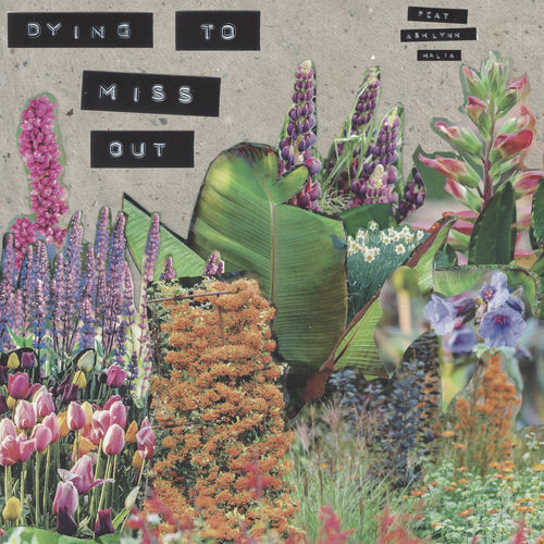 Dying To Miss Out (feat. Ashlynn Malia) artwork