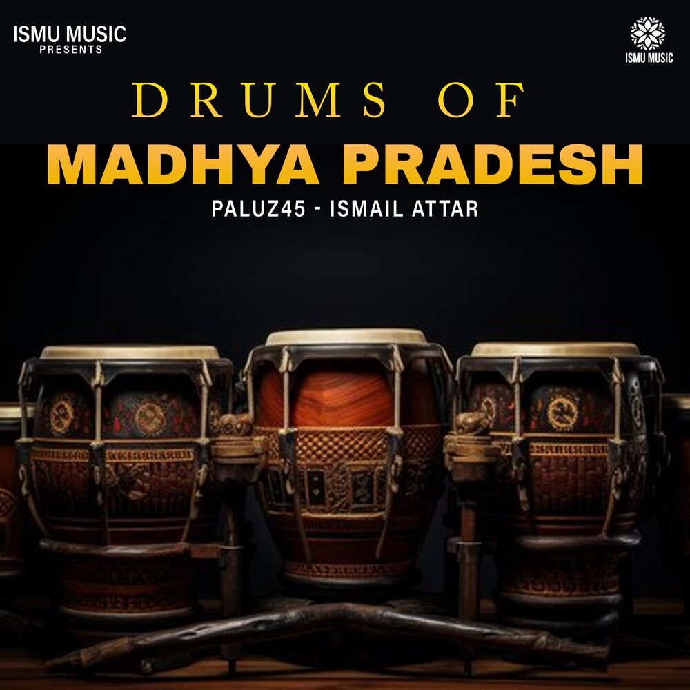 Picture of Drums of Madhya Pradesh