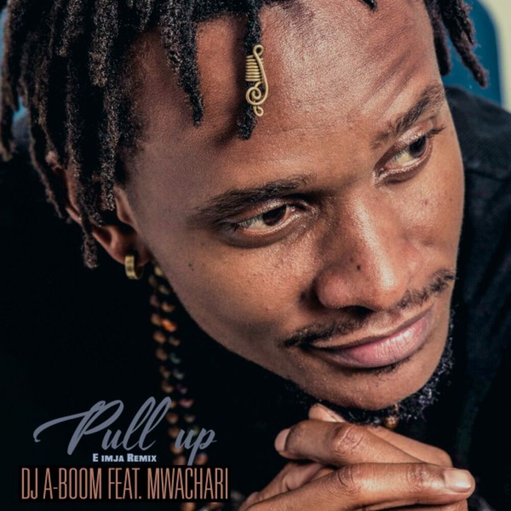 Picture of Pull Up (E Imja Remix)
