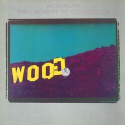 Cover of Mary C. Brown And The Hollywood Sign
