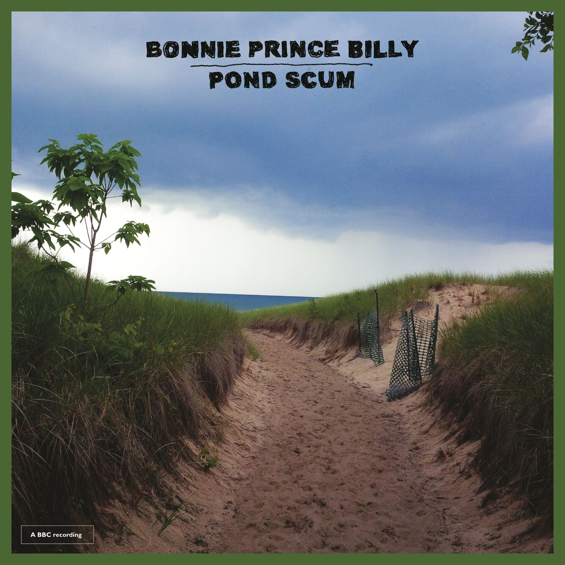 Album cover of Pond Scum