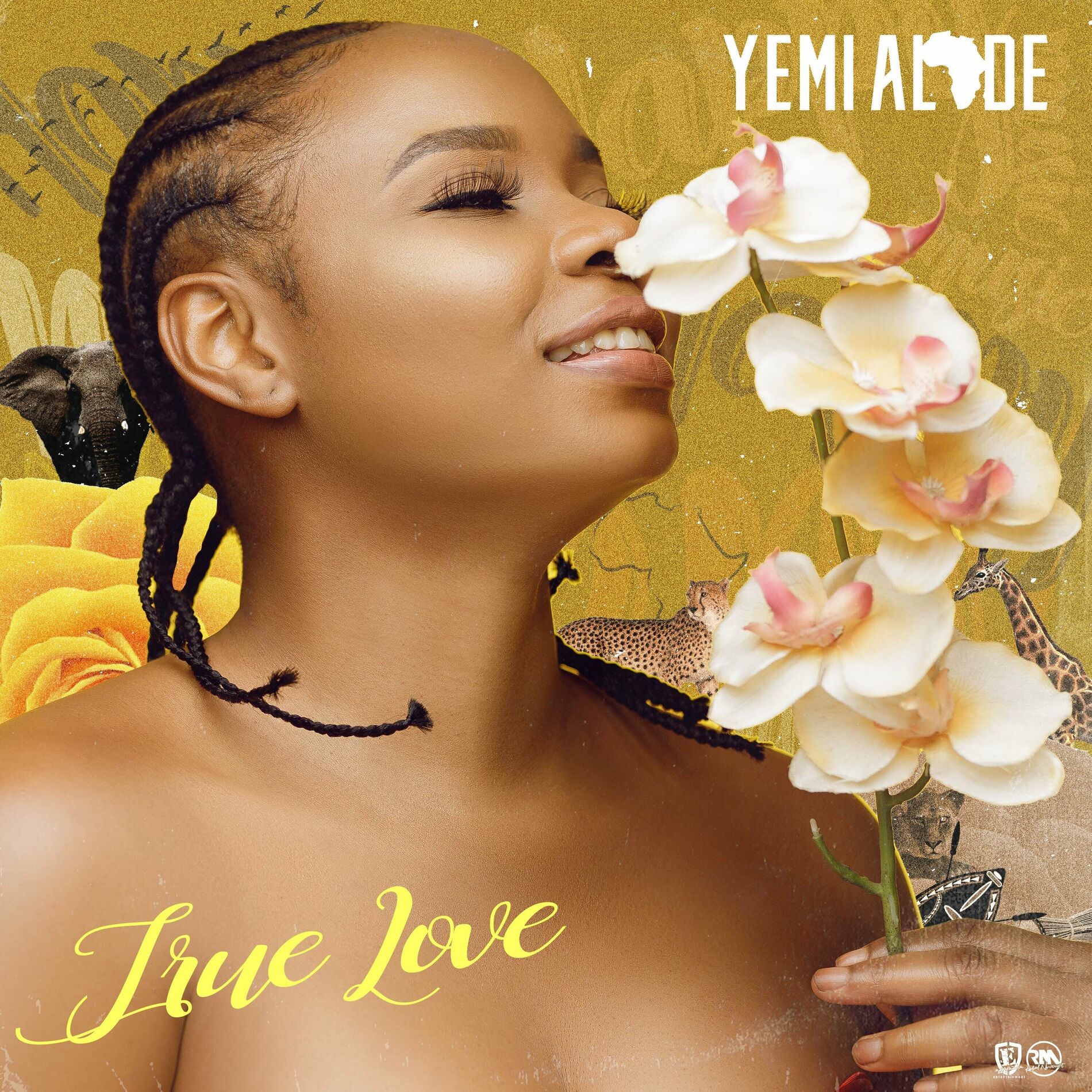 Album cover of True Love