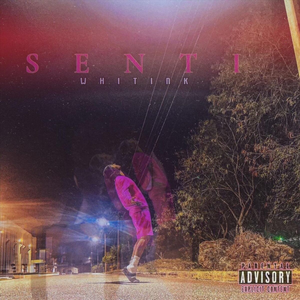 Album cover of SENTI