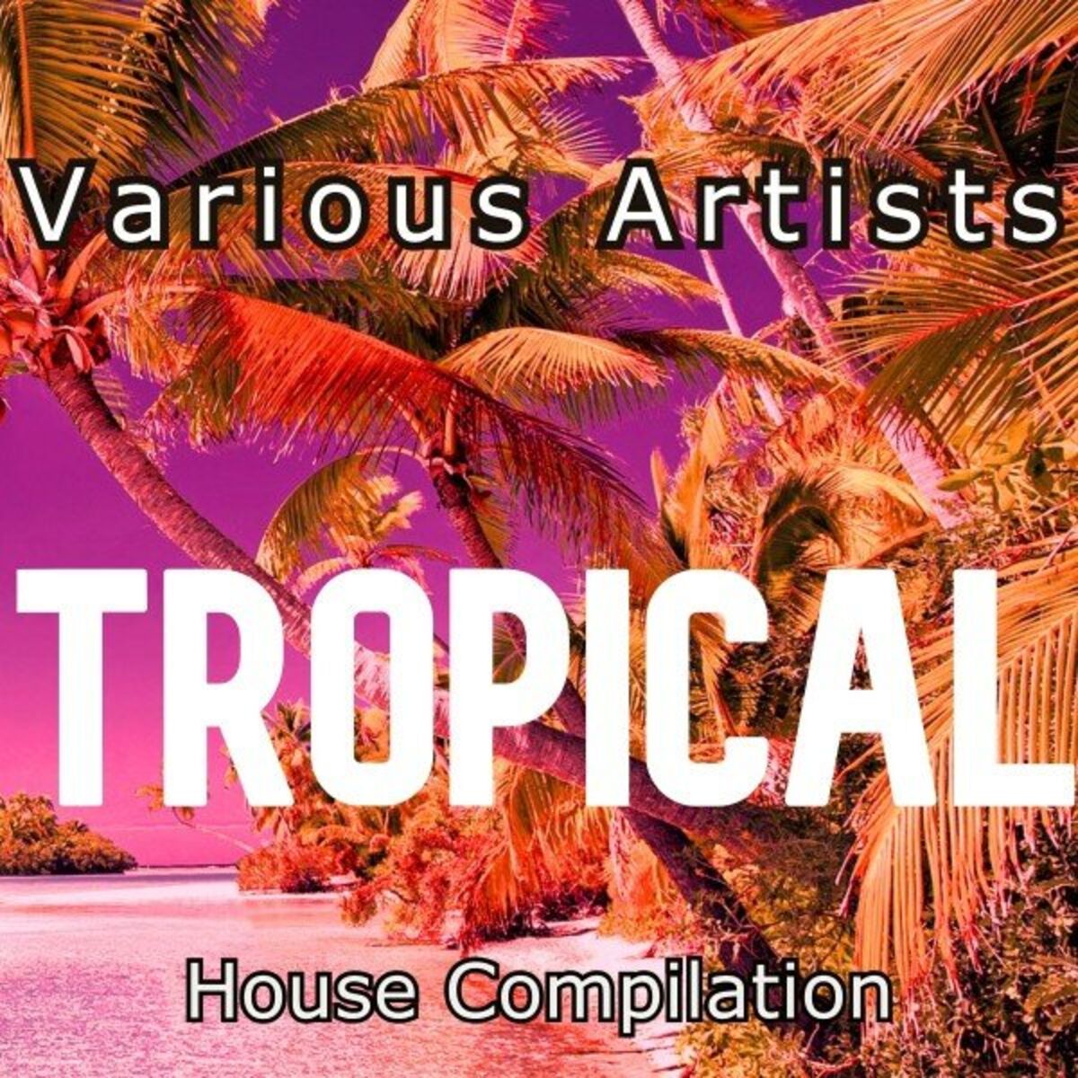 Album cover of Tropical (House Compilation)