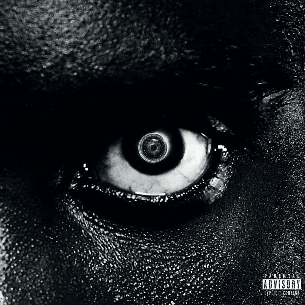 Album cover of Feu de bois