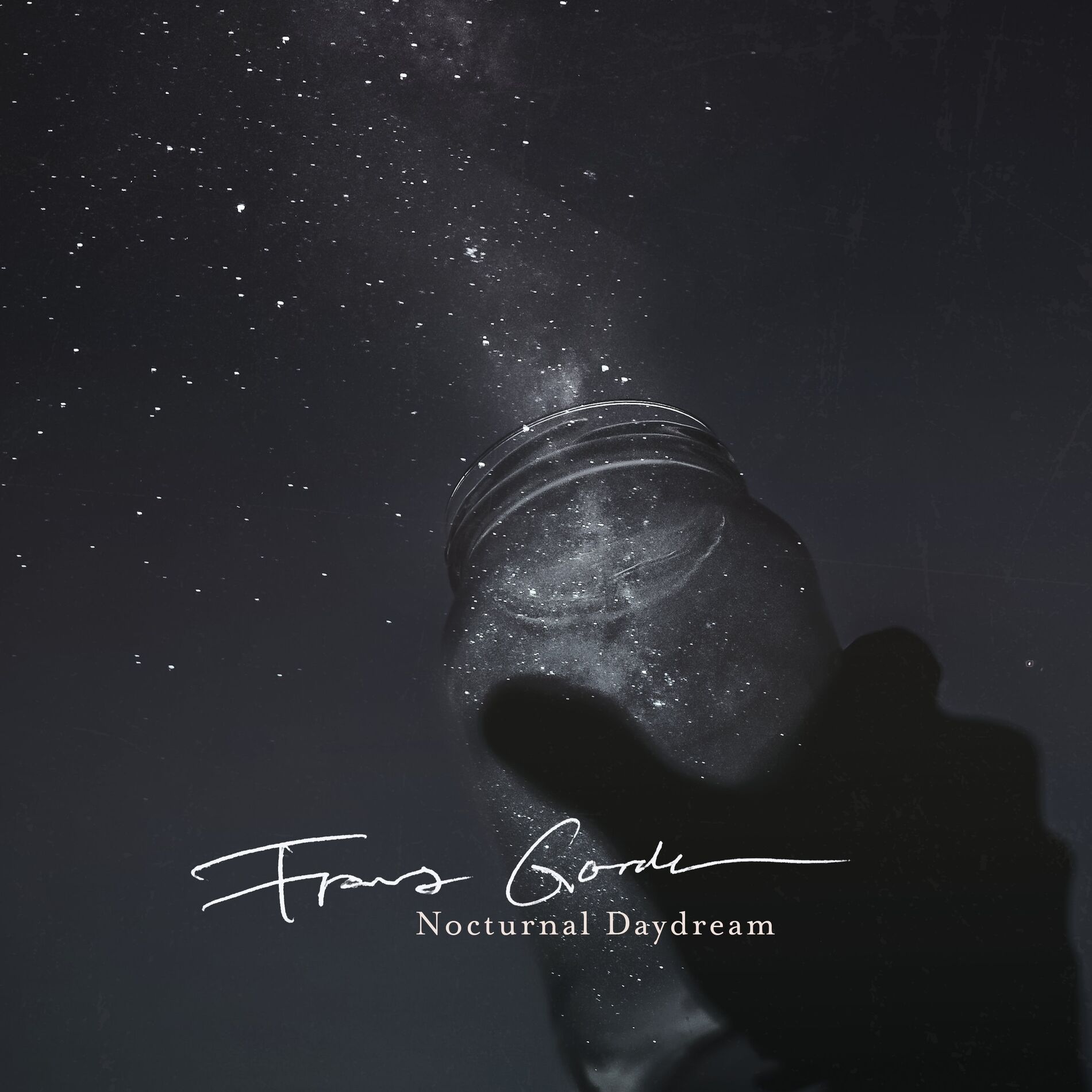 Album cover of Nocturnal Daydream