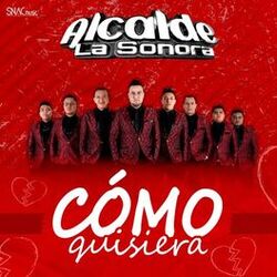 Cover of Cómo Quisiera