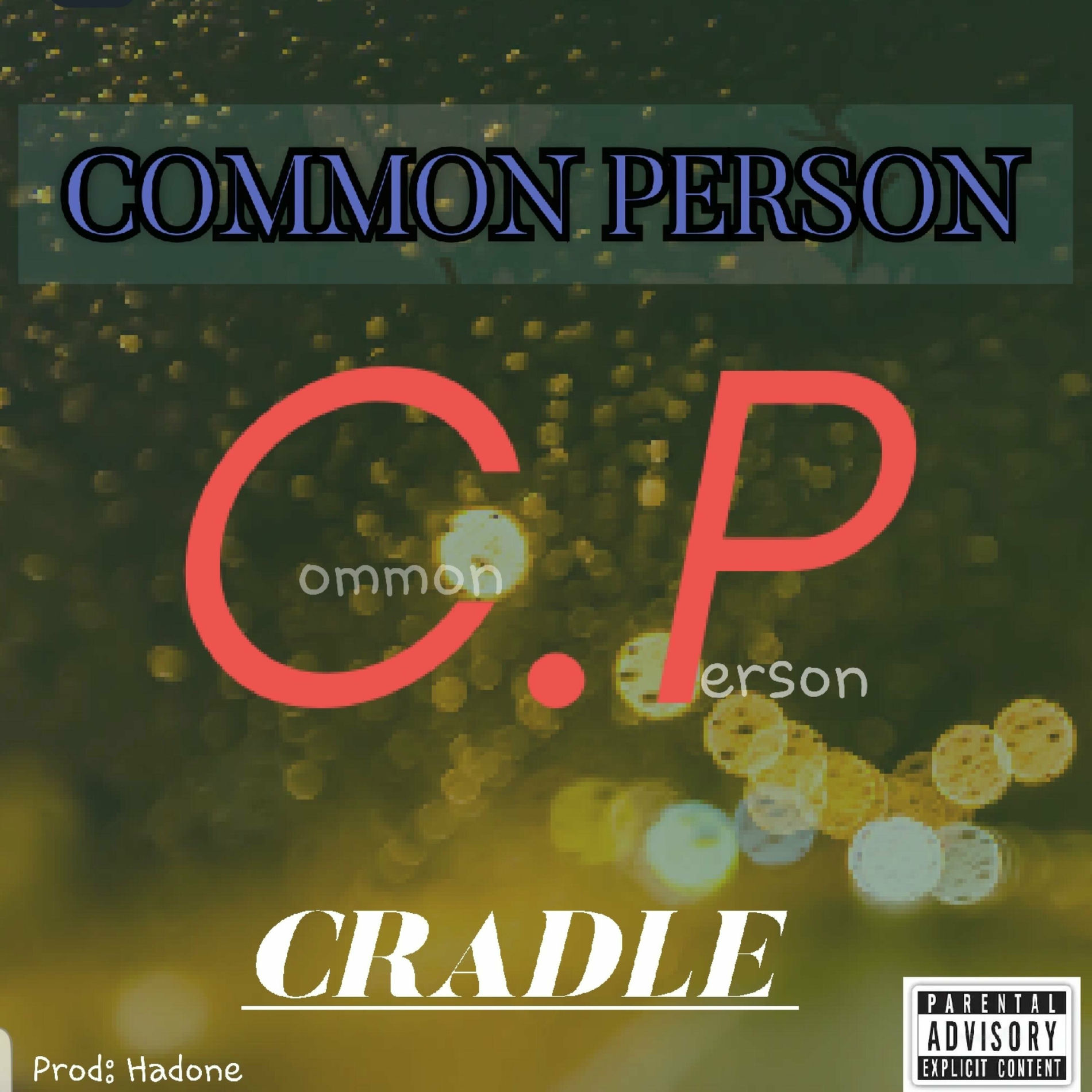 Album cover of Common Person