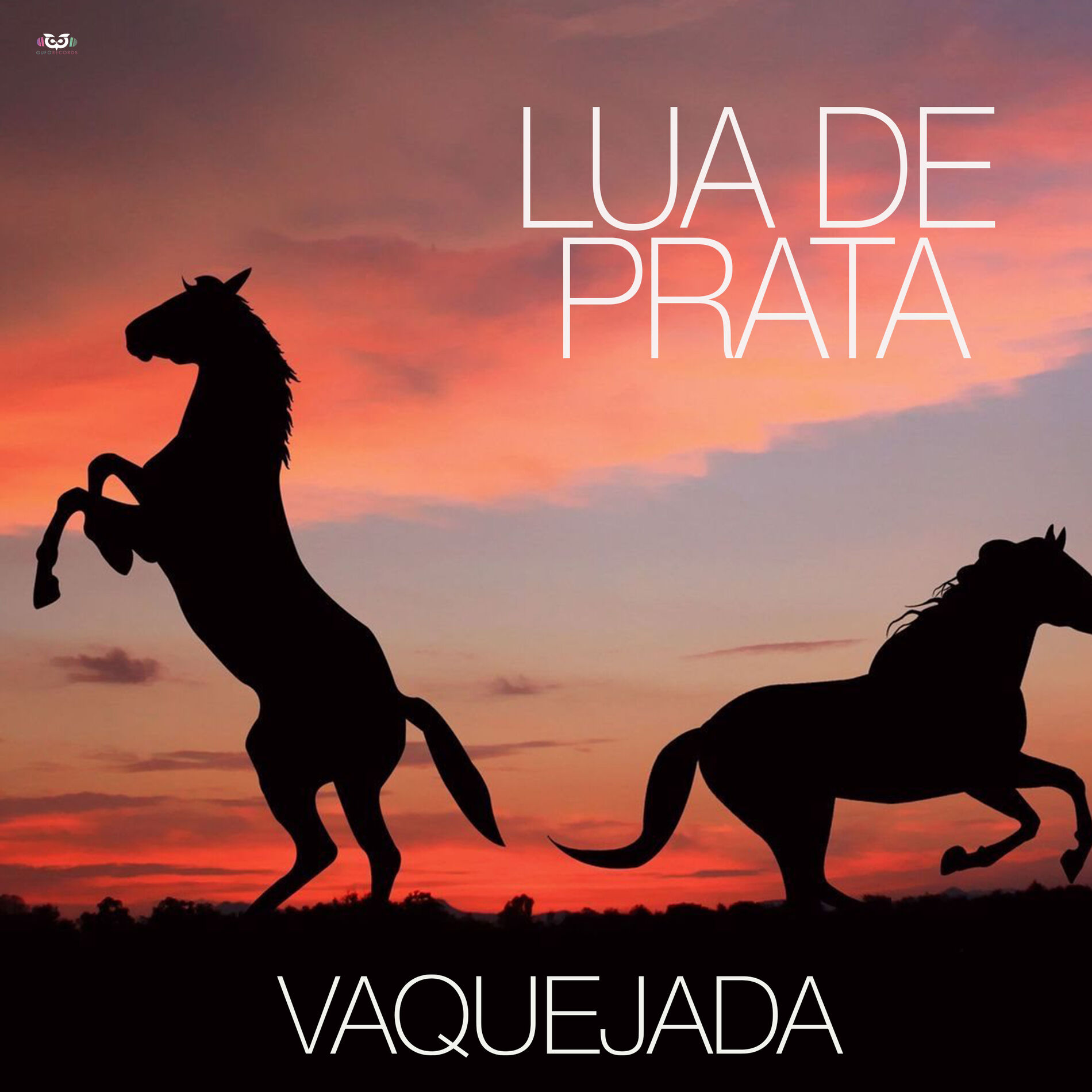 Album cover of Menino De Rua