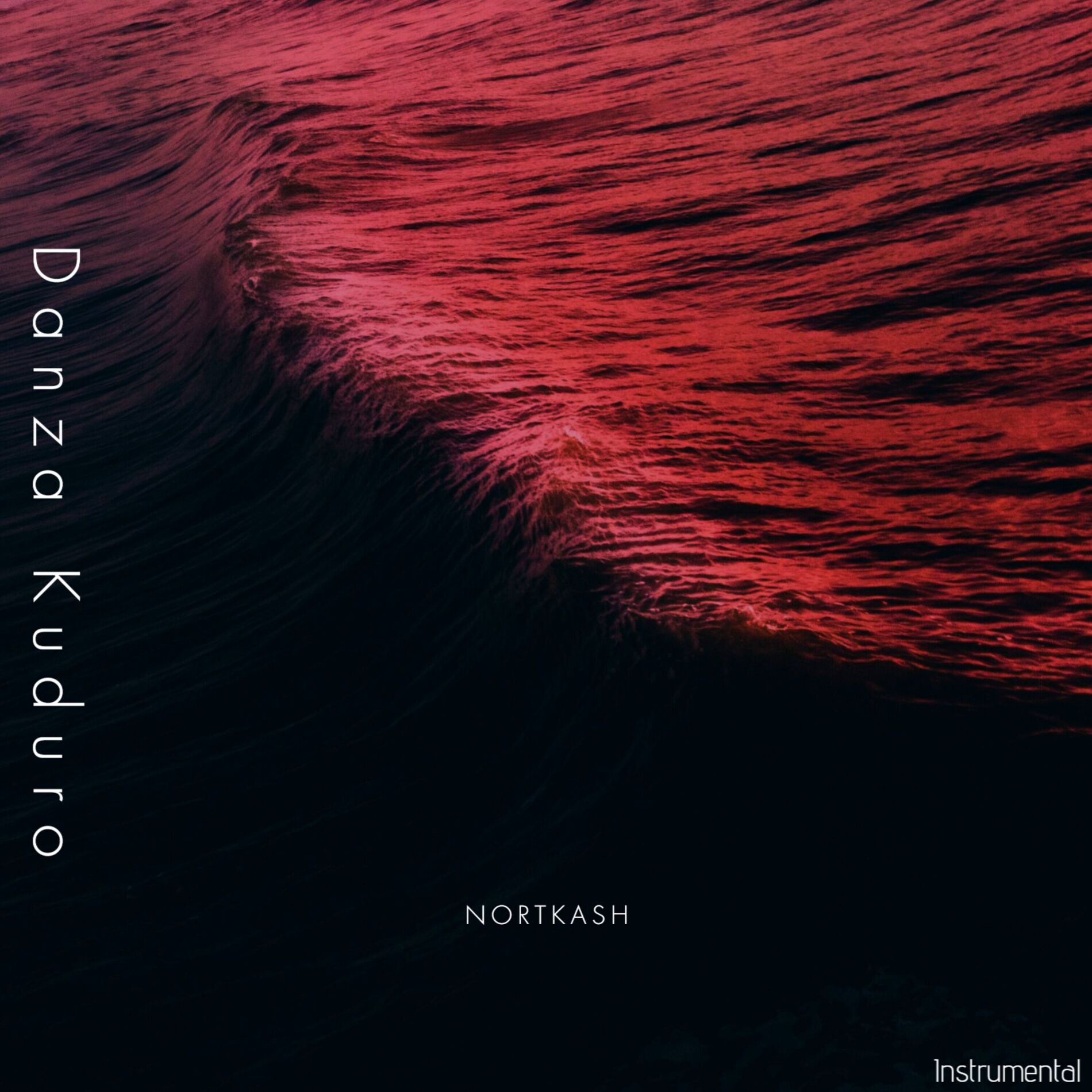 Album cover of Danza Kuduro