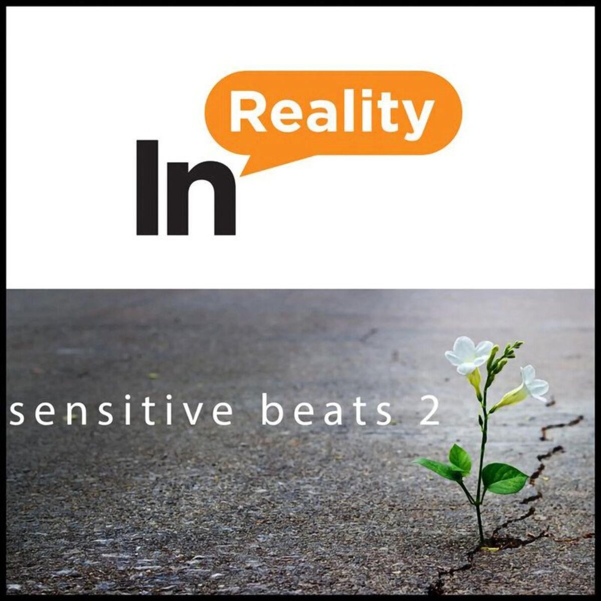 Album cover of Sensitive Beats 2