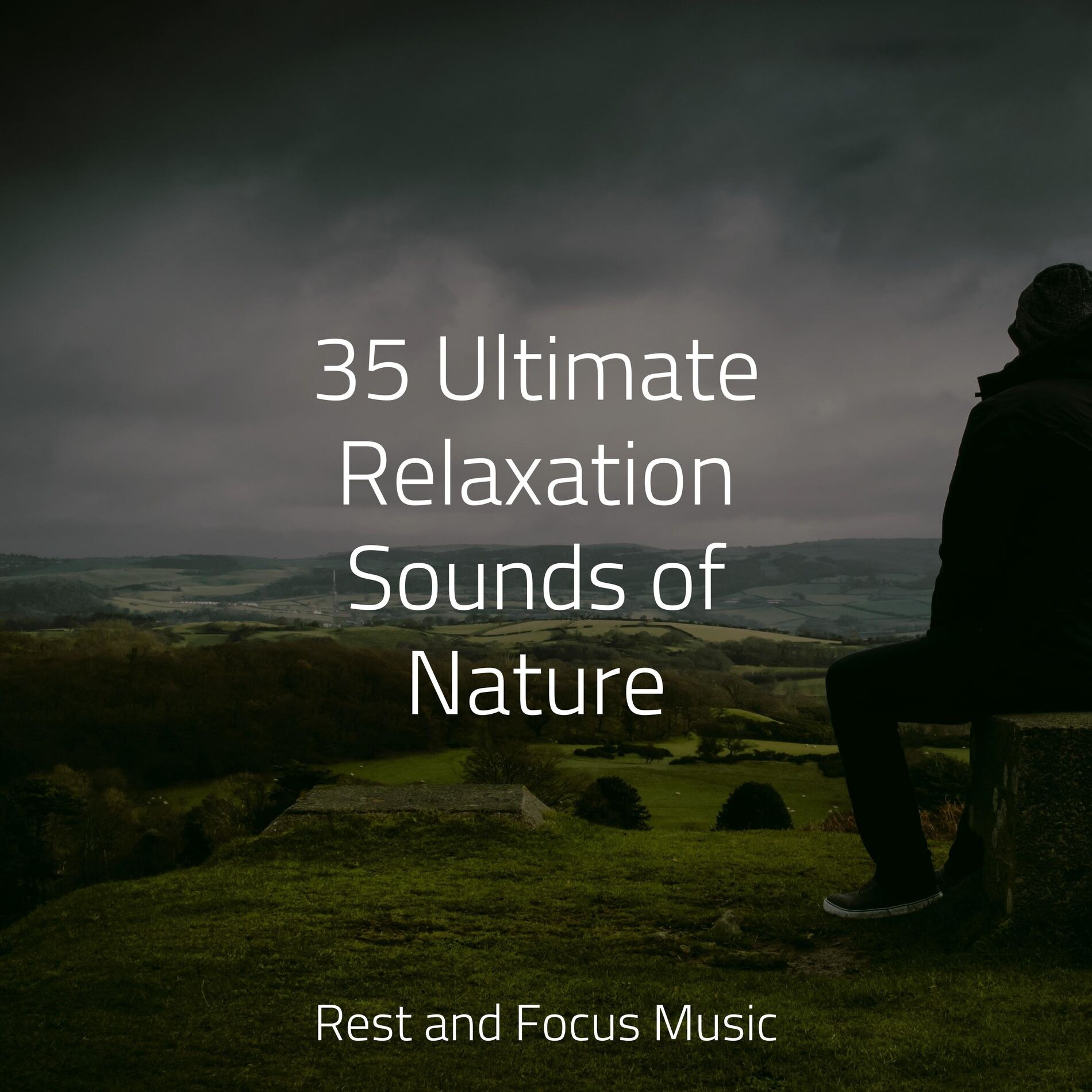 Album cover of 35 Ultimate Relaxation Sounds of Nature