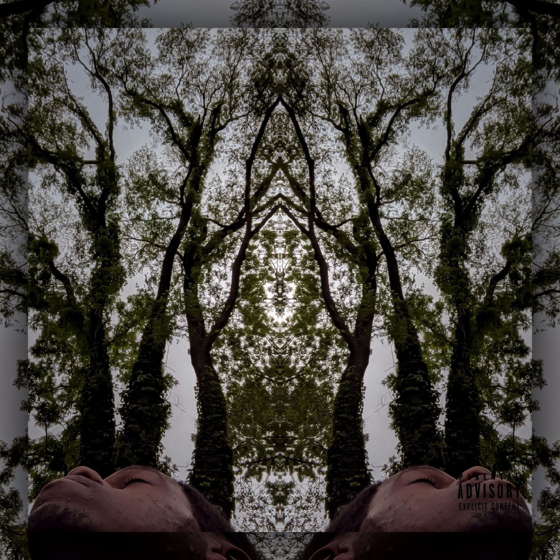 RESET cover