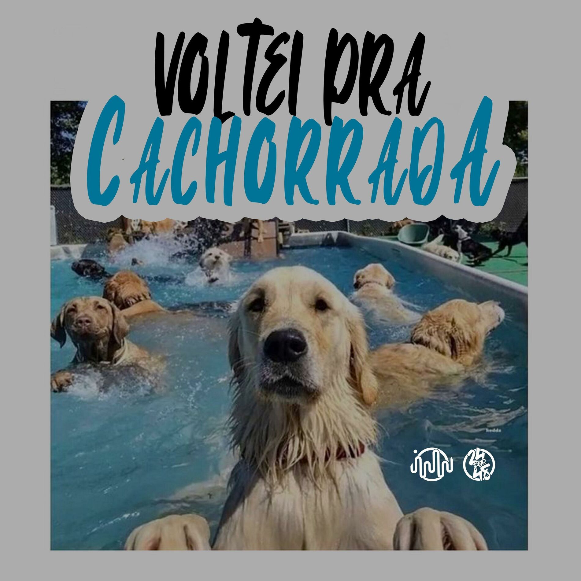 Album cover of Voltei Pra Cachorrada