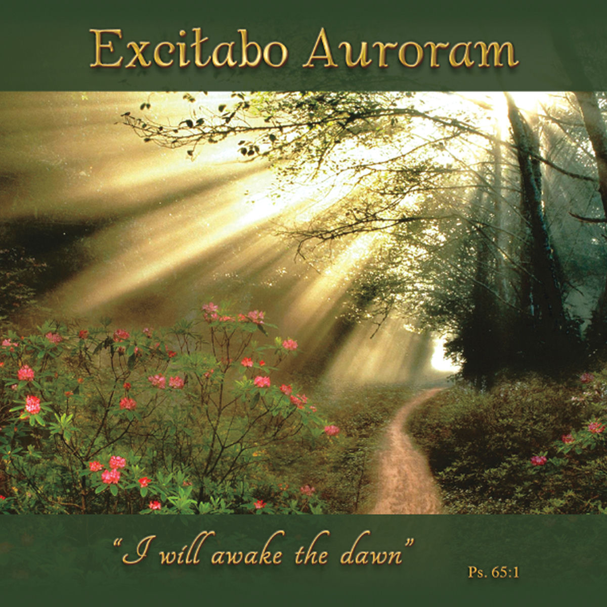 Album cover of Excitabo Auroram