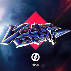 Cover of Vector Break