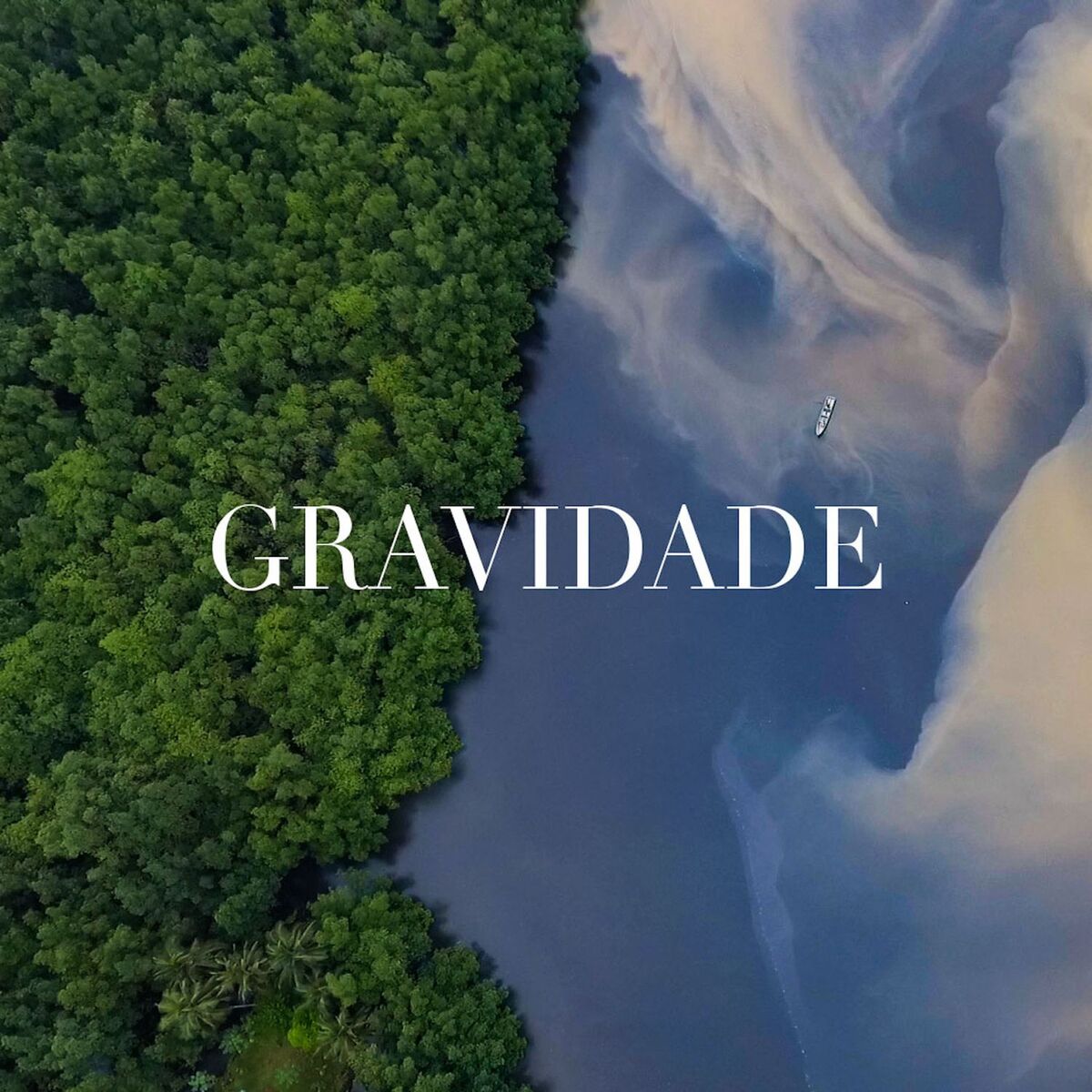 Album cover of Gravidade