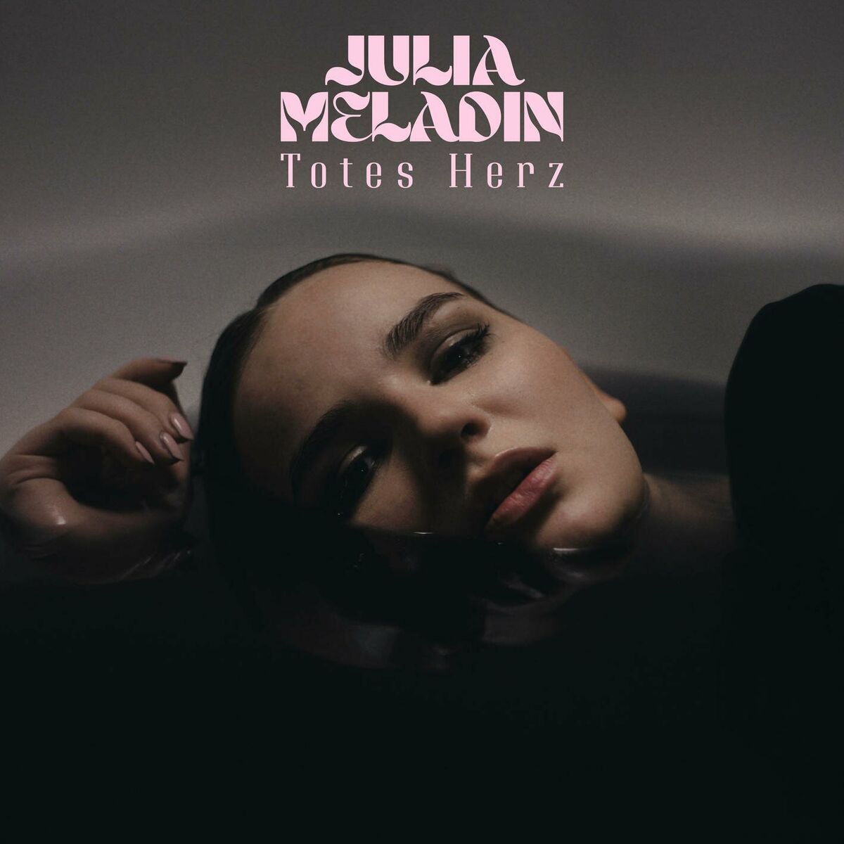 Album cover of Totes Herz