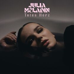 Cover of Totes Herz