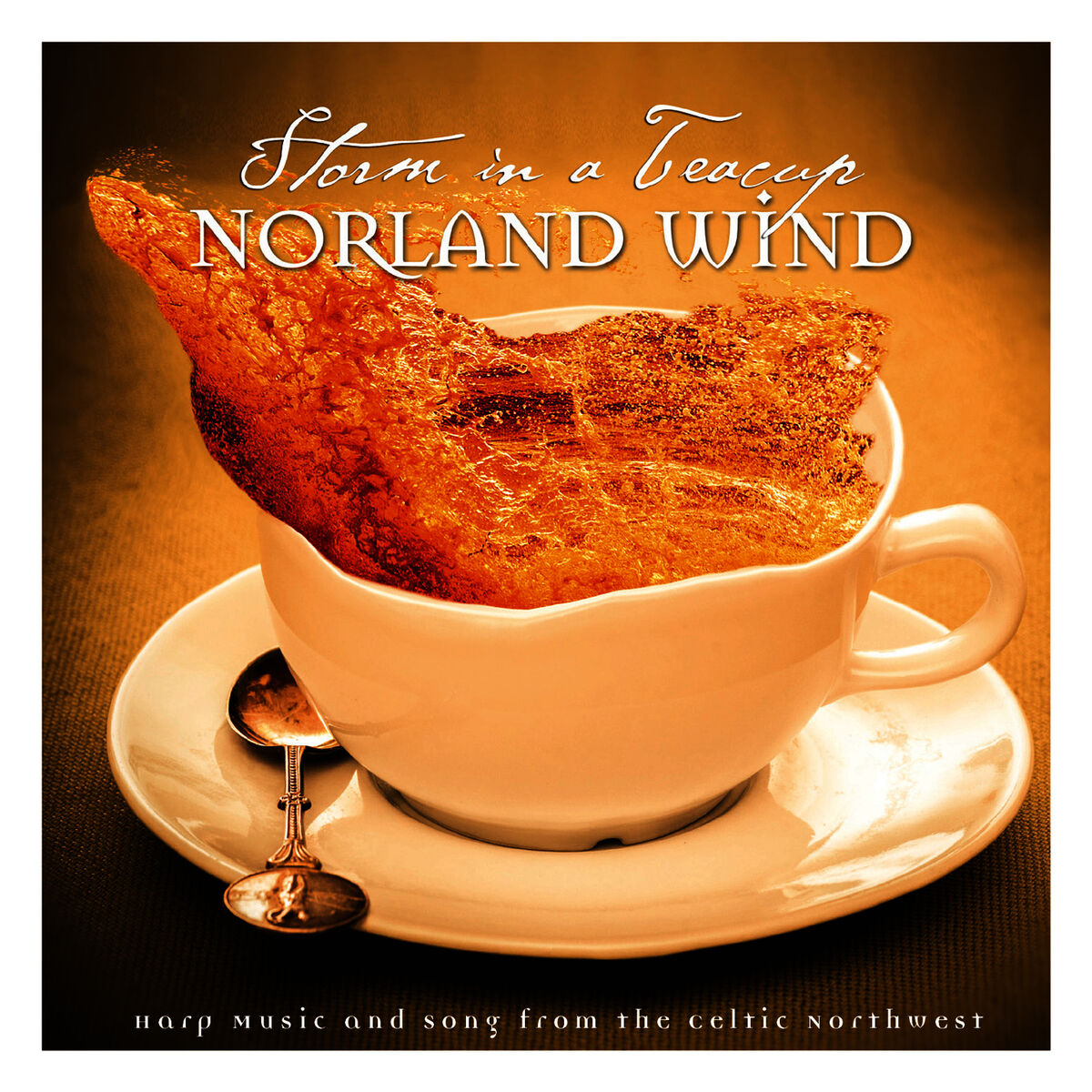Album cover of Storm in a Teacup