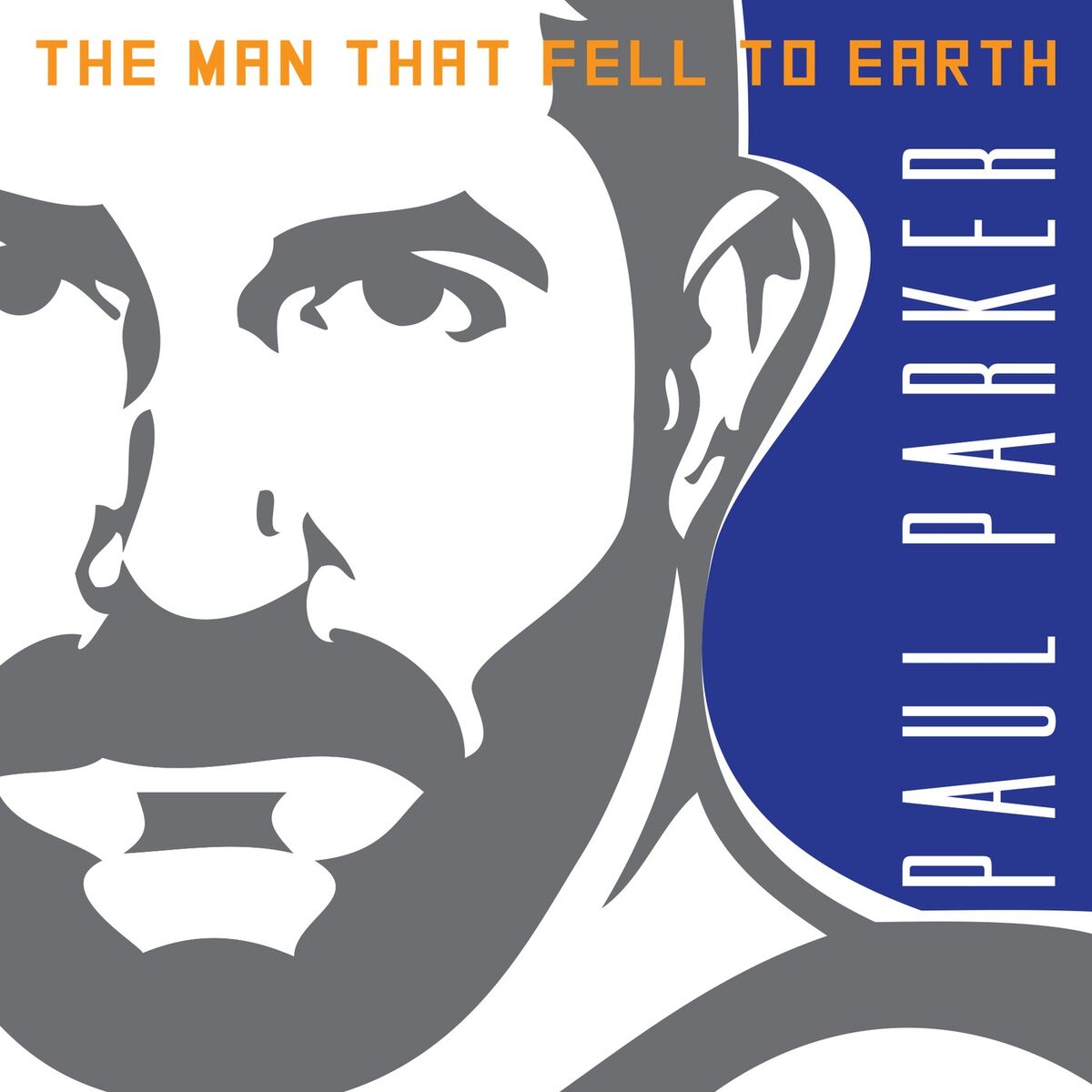 Album cover of The Man That Fell to Earth