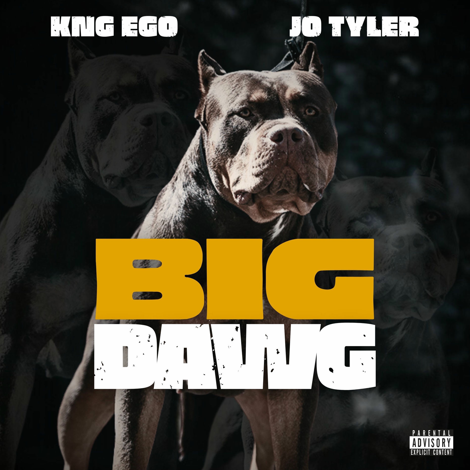 Album cover of Big Dawg