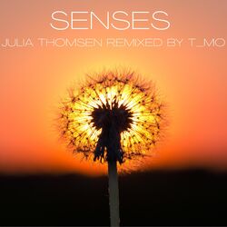 Cover of Senses