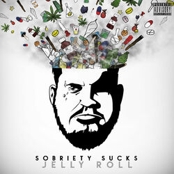 Cover of Sobriety Sucks