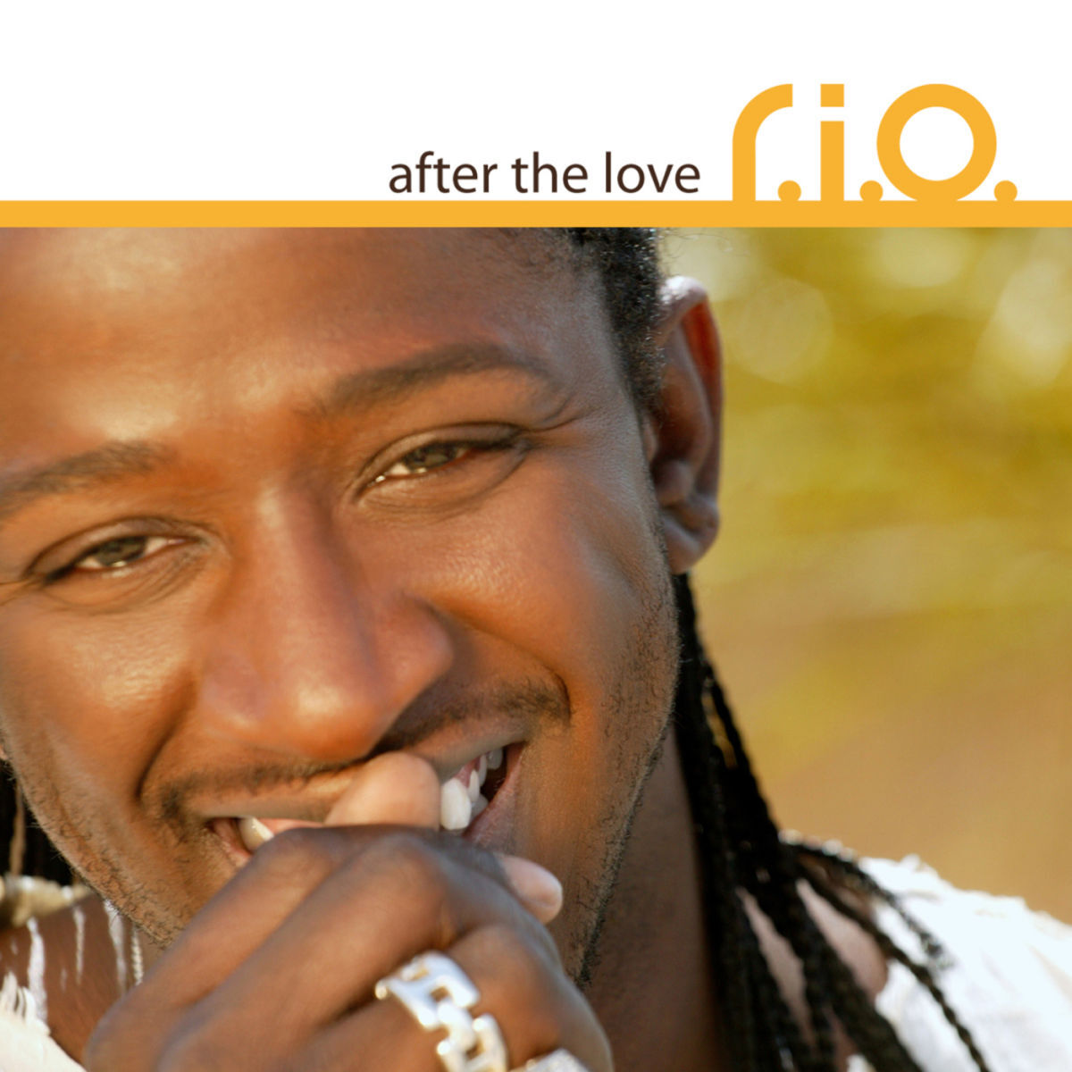 Album cover of After the Love