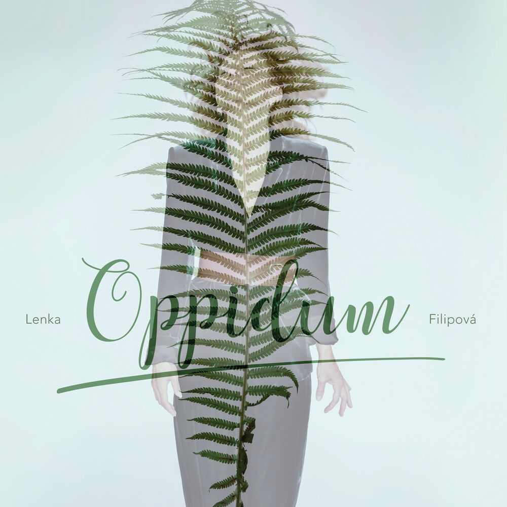 Picture of Oppidum