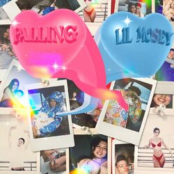 Cover of Falling